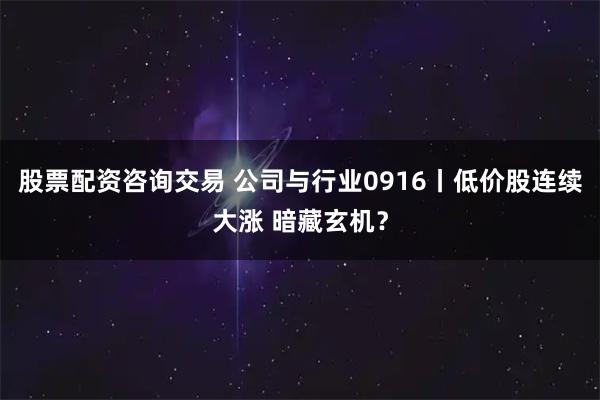 股票配资咨询交易 公司与行业0916丨低价股连续大涨 暗藏玄机？