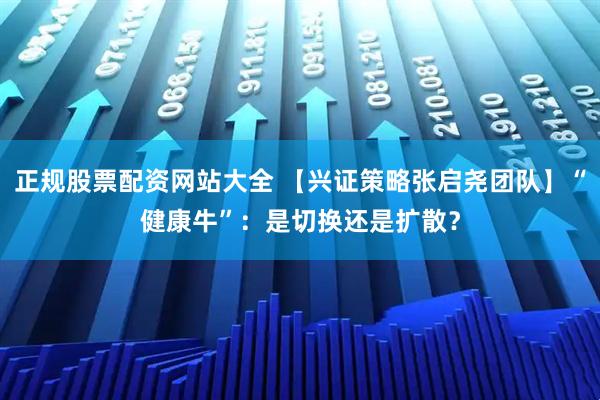 正规股票配资网站大全 【兴证策略张启尧团队】“健康牛”：是切换还是扩散？
