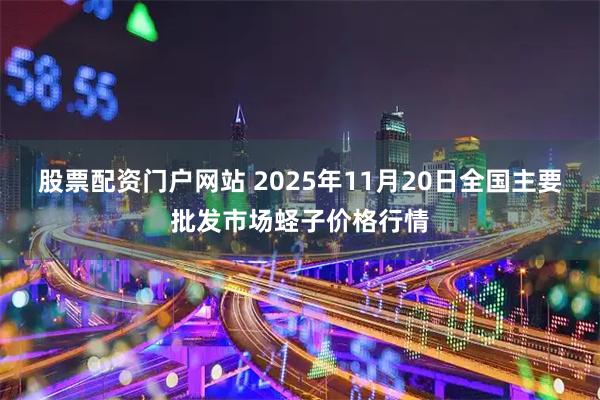 股票配资门户网站 2025年11月20日全国主要批发市场蛏子价格行情